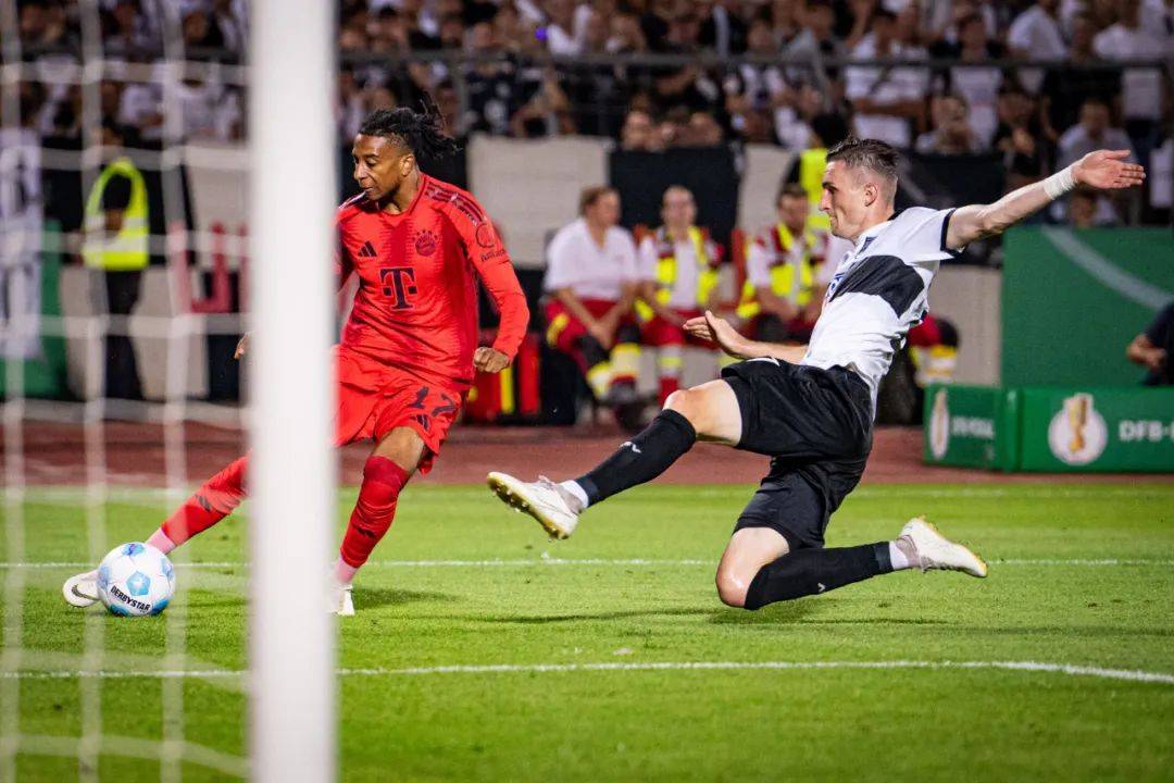 拜仁慕尼黑战绩